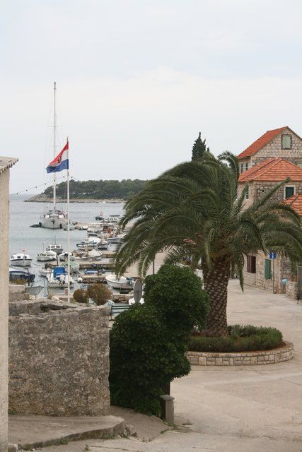 gal/cro 08/small-IMG_5345.JPG
